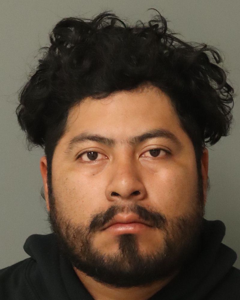 Booking photo of Inner Perez-bartolon