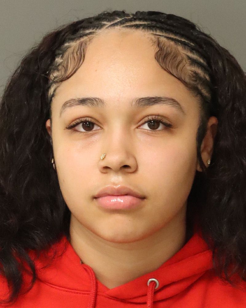 Booking photo of Nasya Stasinopoulos