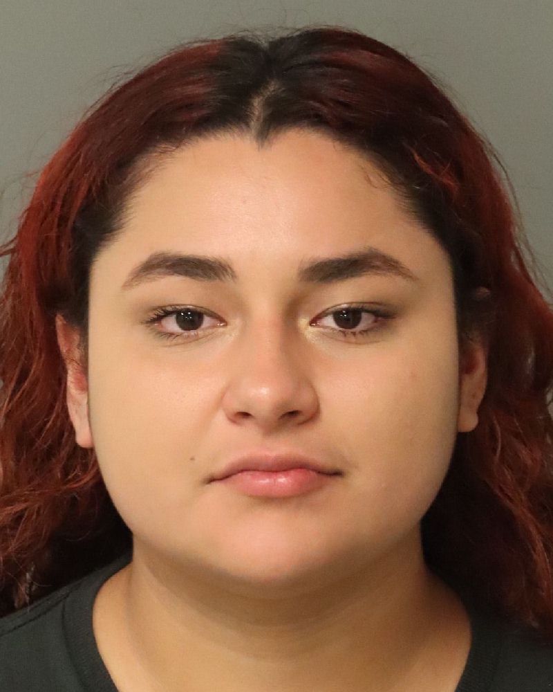 Booking photo of Melany Del Cid Medrano