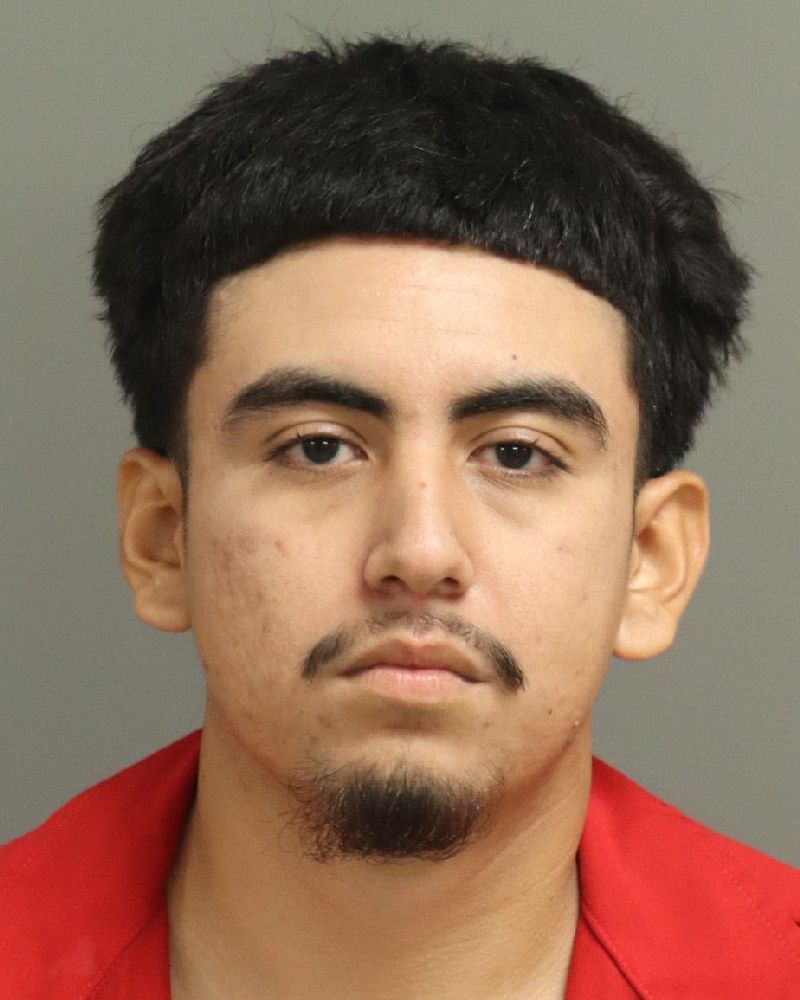 Booking photo of Raul Castillo-acevedo