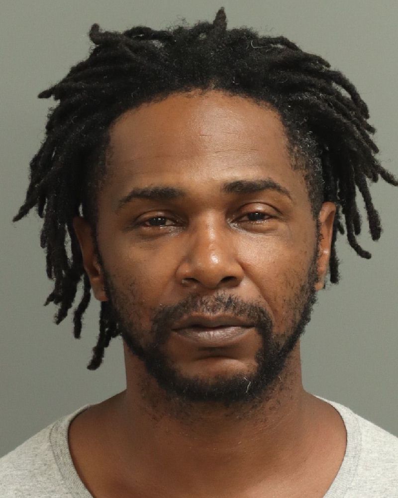 Booking photo of Alix Romain