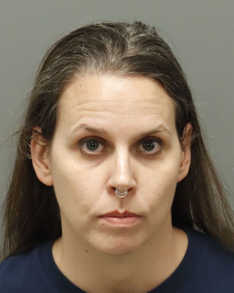 Booking photo of Breanne Delossantos