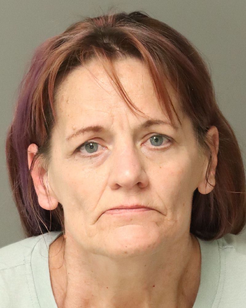 Cristina Shreve booking photo