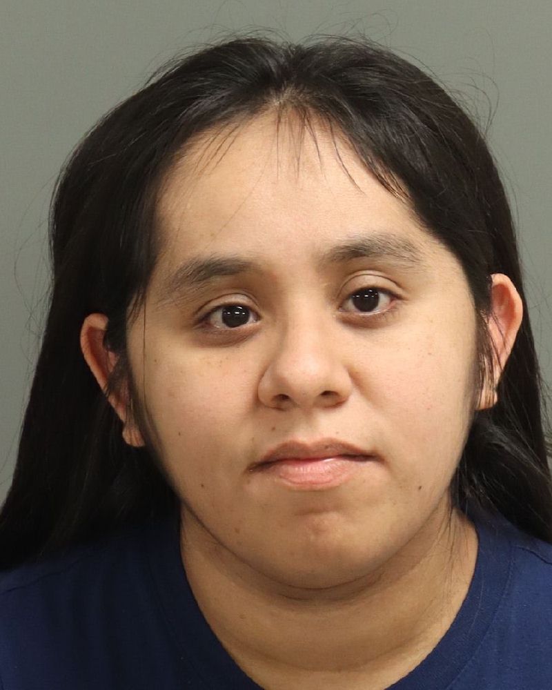 Booking photo of Cristel Brito