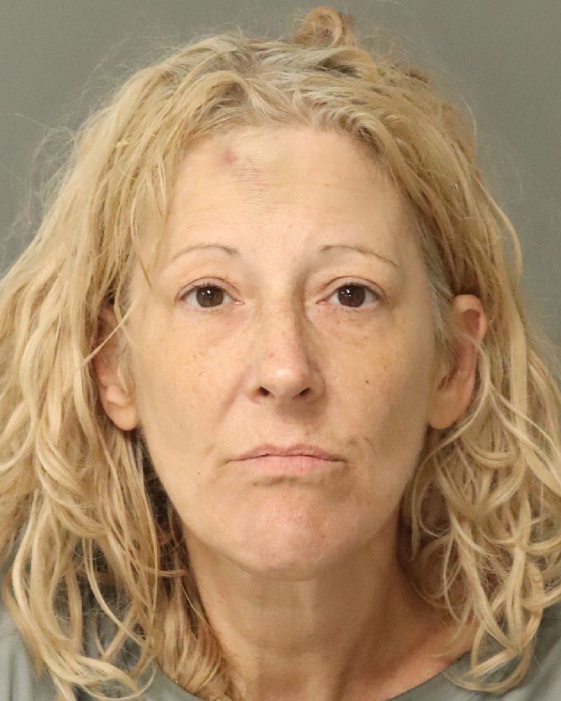 Booking photo of Kimberly Anderson