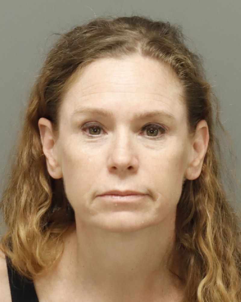 Booking photo of Carol Turner