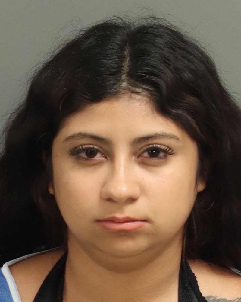 Booking photo of Carmen Rodriguez-perez