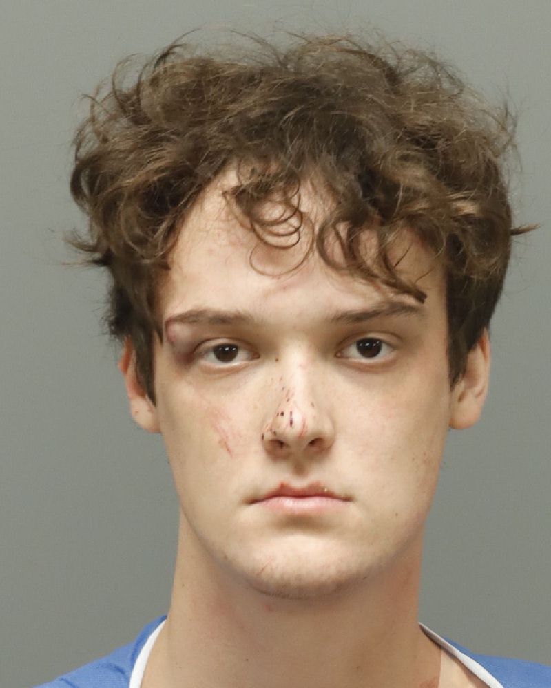 Booking photo of Gabriel Chialton