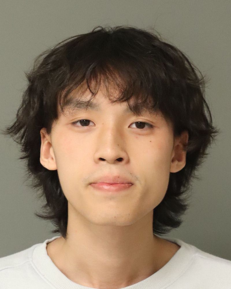 Booking photo of Austin Nguyen Vo