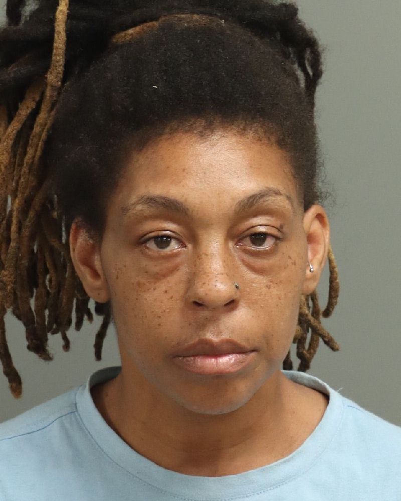 Booking photo of Natalie Foye
