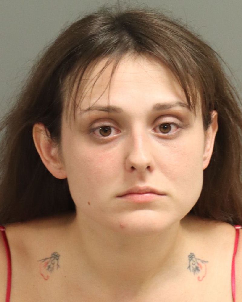 Booking photo of Hannah Metzger