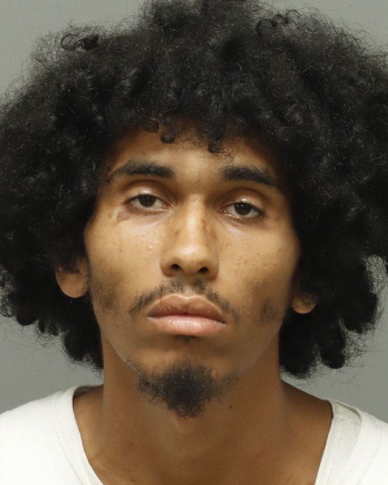 Booking photo of Tristen Holder