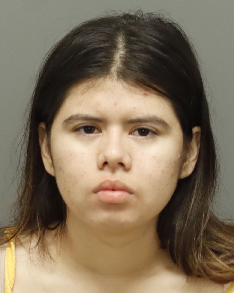 Nayeli Corrales-nivarre booking photo