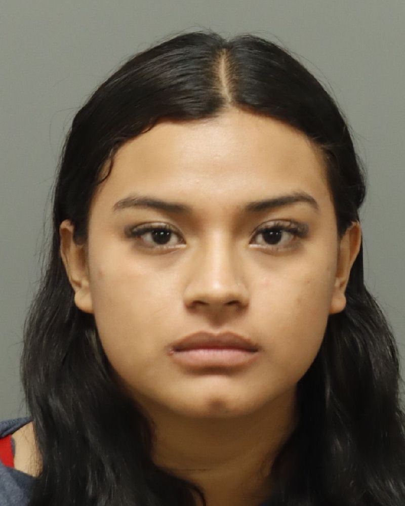 Booking photo of Londy Fabian-duque
