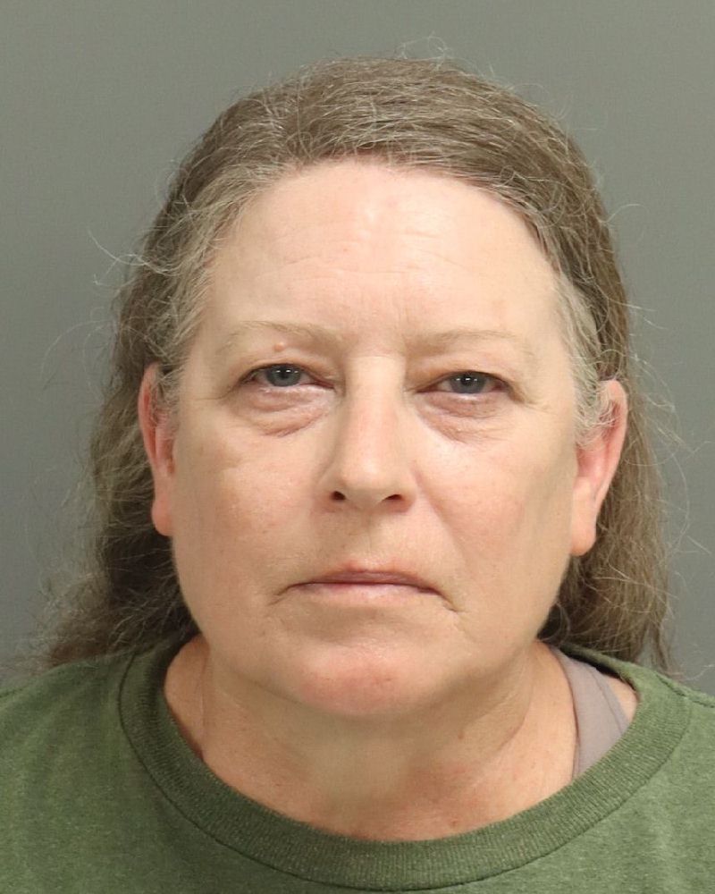 Booking photo of Holly Wren