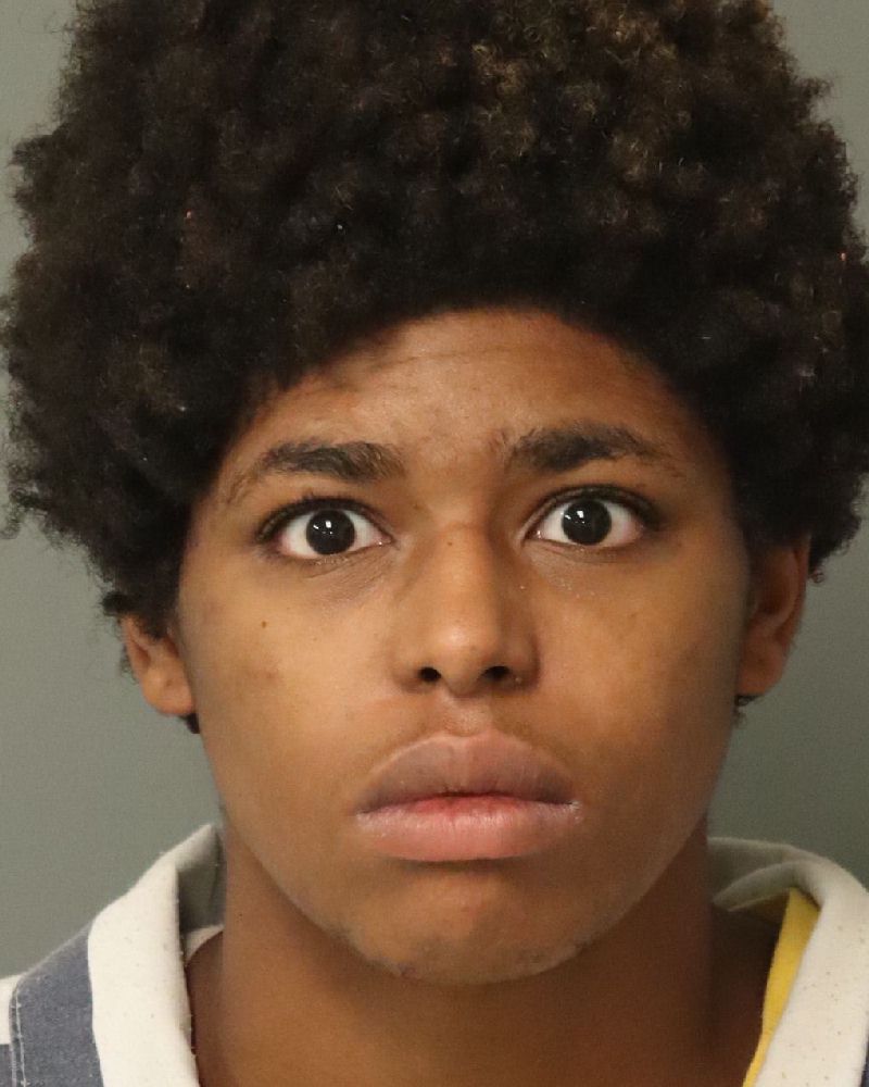 Booking photo of Sheria Woodard
