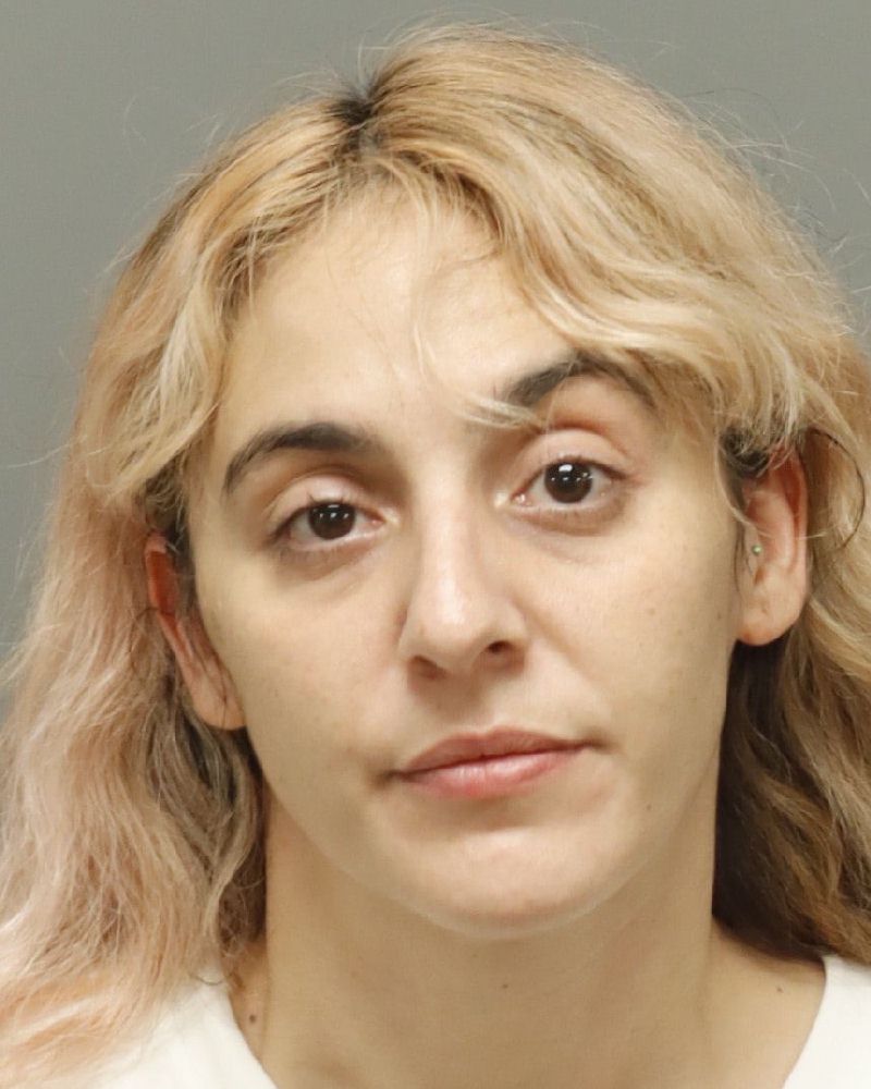Alexandra Salcedo booking photo