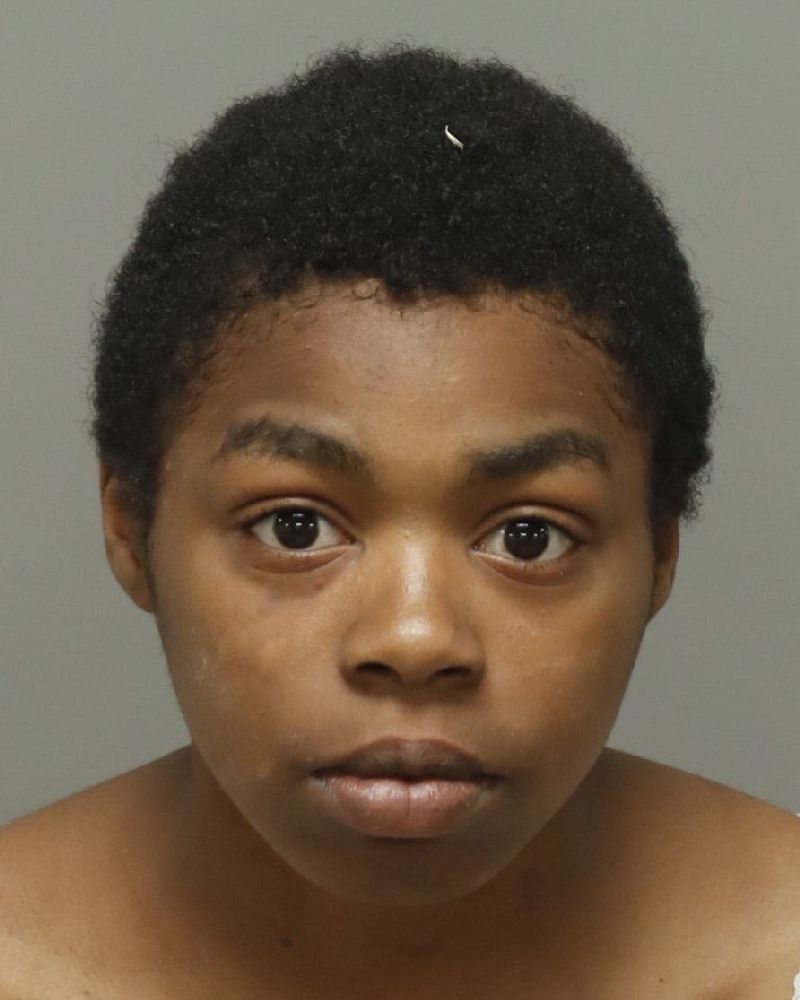 Tiffanie Little booking photo