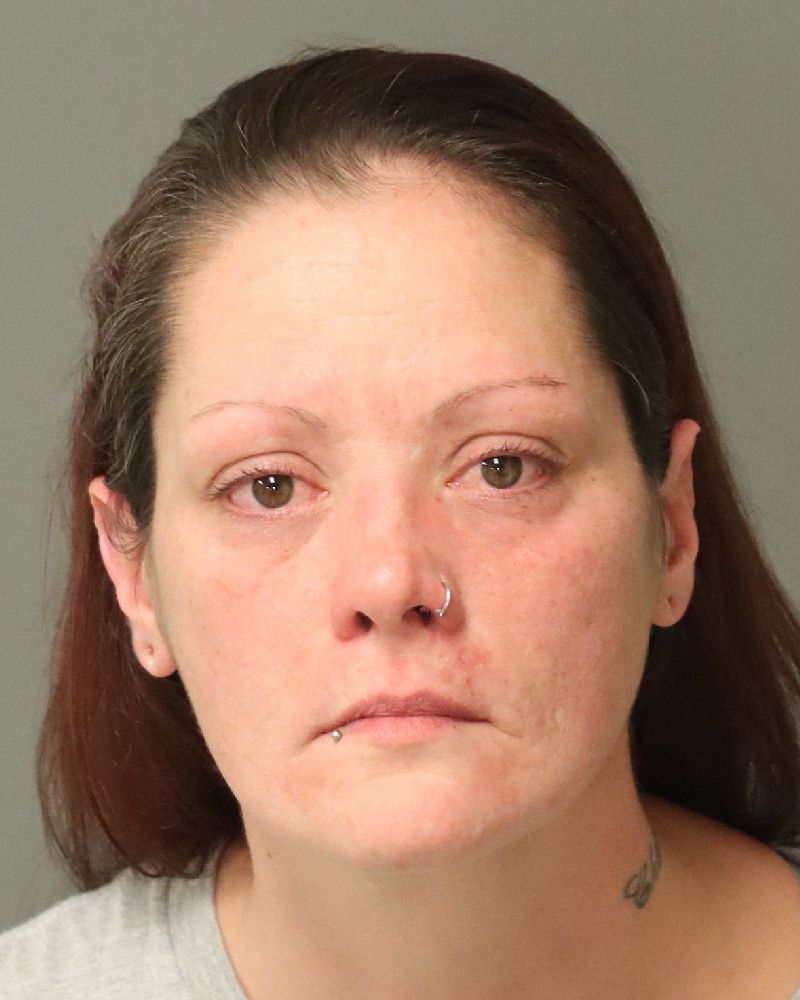 Amber Lundberg booking photo