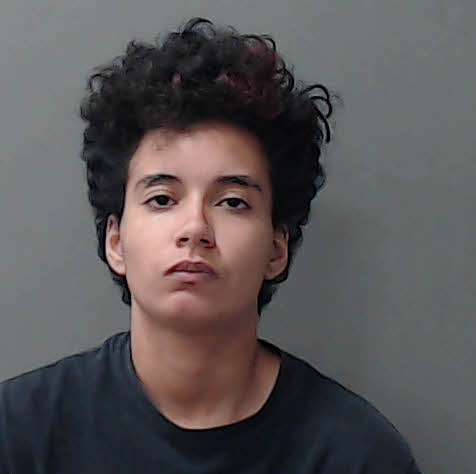 Booking photo of Analys Joeli Colon
