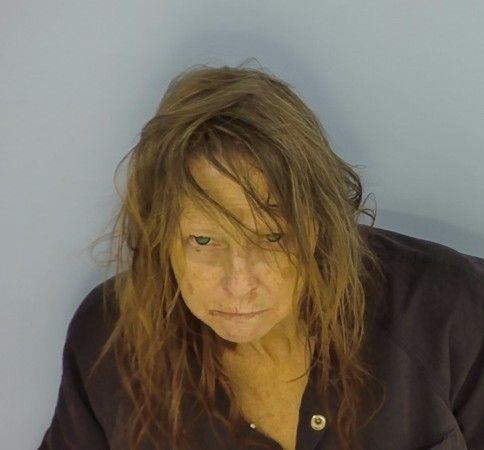 Booking photo of Teresa Henley