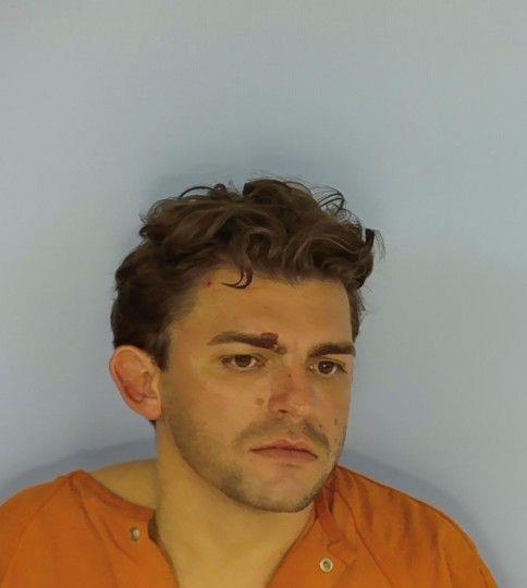 Booking photo of Houston Schweitzer