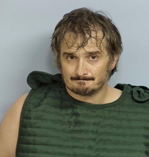 Booking photo of Bryan Ronk