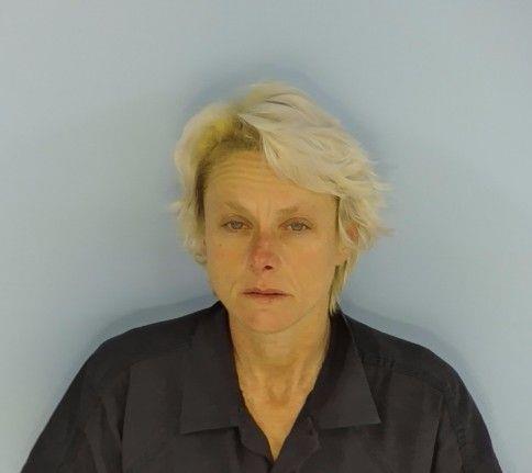 Booking photo of Sheila Sansom