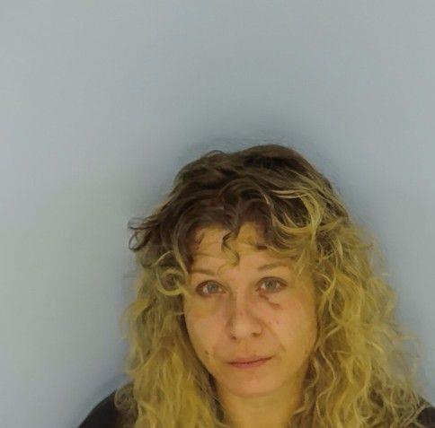 Booking photo of Rebecca Paullin