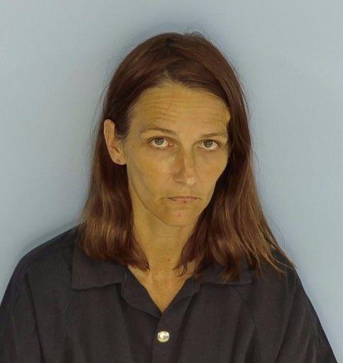 Maegan Robinson booking photo