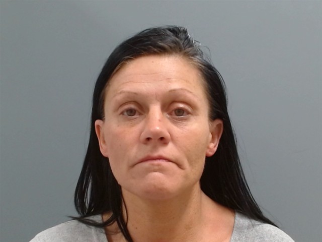 Booking photo of Tonia Ingle
