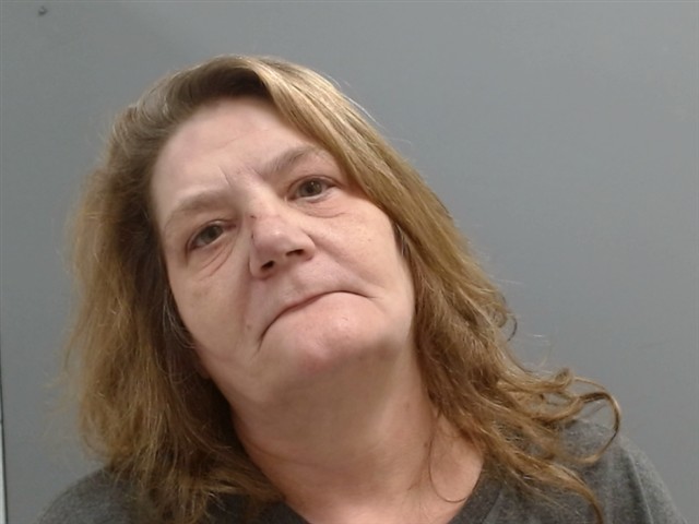 Booking photo of Misti Erdmann