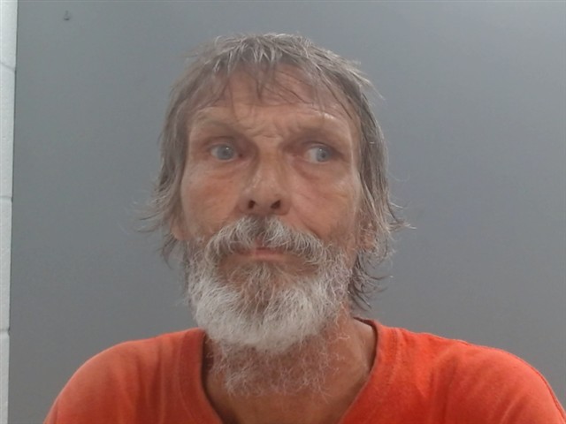 Booking photo of Lesley Mason