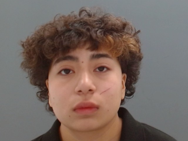 Booking photo of Daniela Hernandez