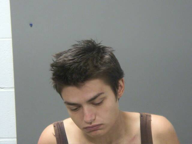 Booking photo of Alexis Gray