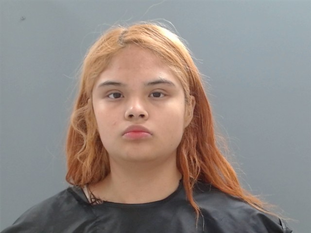 Booking photo of Misty Araujo-barroso