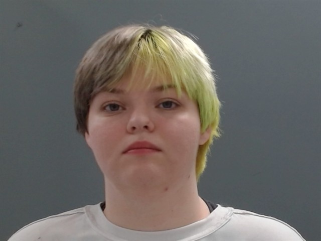 Krista Bunch booking photo