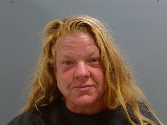Booking photo of Denise Ryan