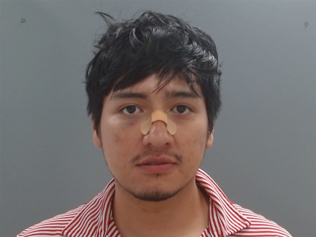 Booking photo of Guadalupe Araujo-medina