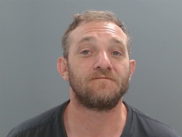Booking photo of Blake Romine