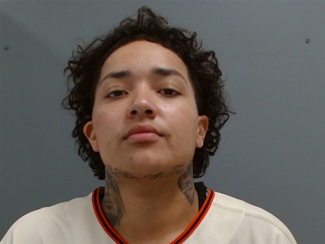 Booking photo of Monique Hamilton