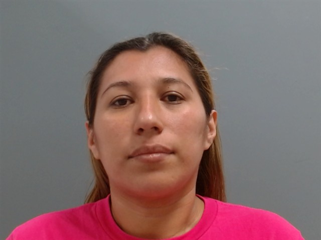 Booking photo of Sayda Aragon