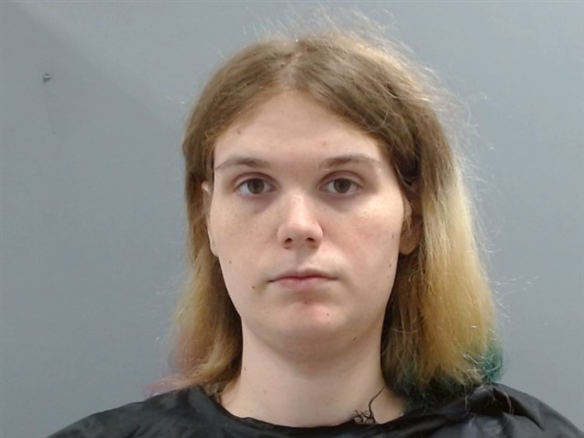 Booking photo of Michael New