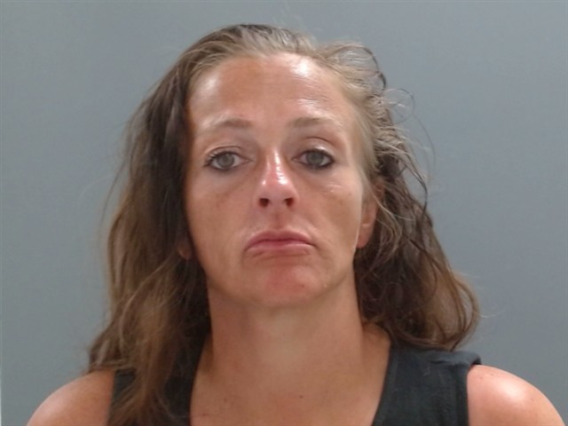 Booking photo of Ashley Bryan