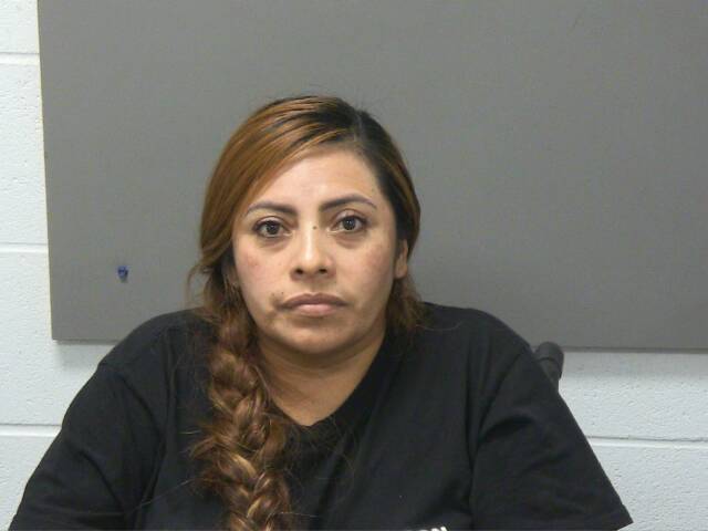 Booking photo of Elsa Garcia