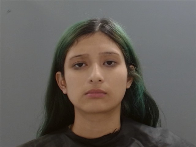 Brittany Chavez booking photo