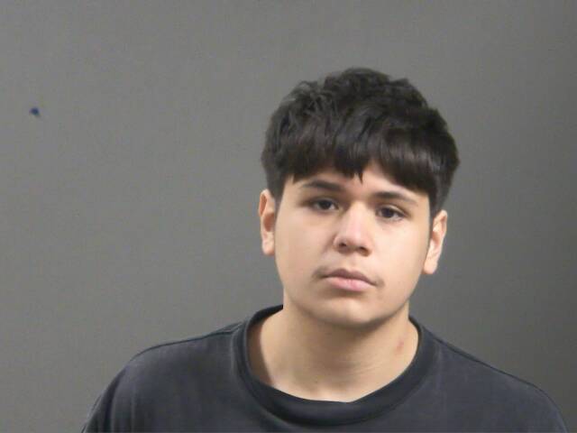 Booking photo of Sebastion Sidon
