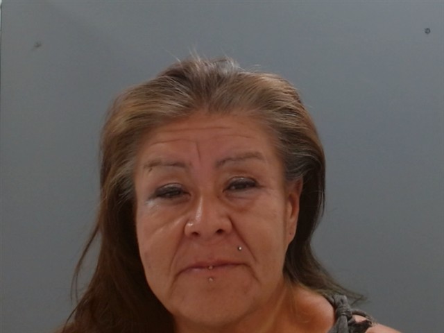 Michelle Smith booking photo
