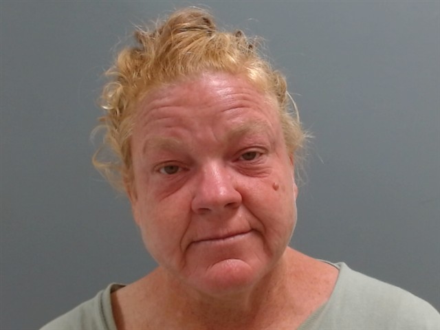 Booking photo of Denise Ryan