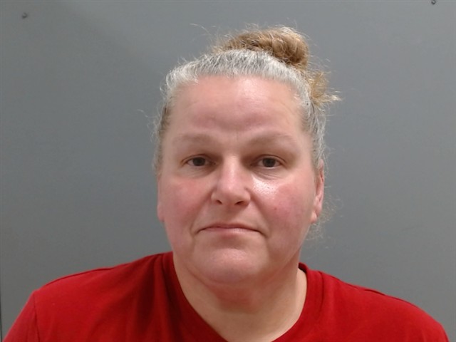 Booking photo of Lisa Johnston